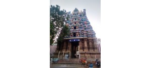 திருவாதவூர் 